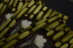 Blooming Against the Grain (And They’ll Never Let You Get Away with It)