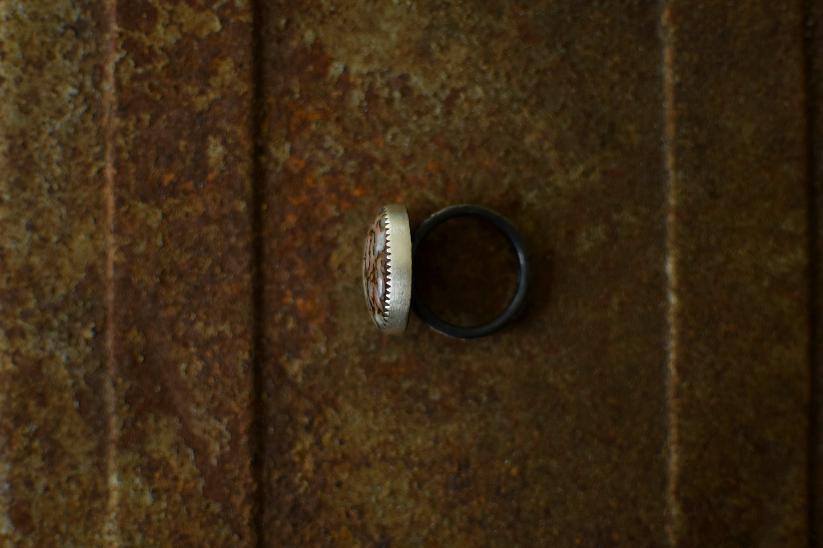 XDinosaur Bone Ring - Fossilized Dino Bone - Sterling Silver Ring - Fossils - Fossil Jewelry