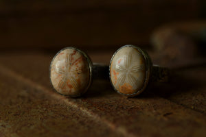 Fossilized Sand Dollar - Fossil Ring - Sterling Silver - Size 7 - Size 8.25