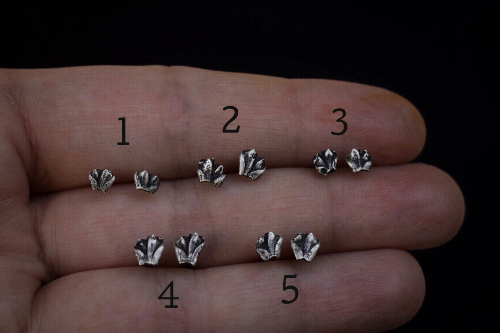 Fern Vertebrate Studs
