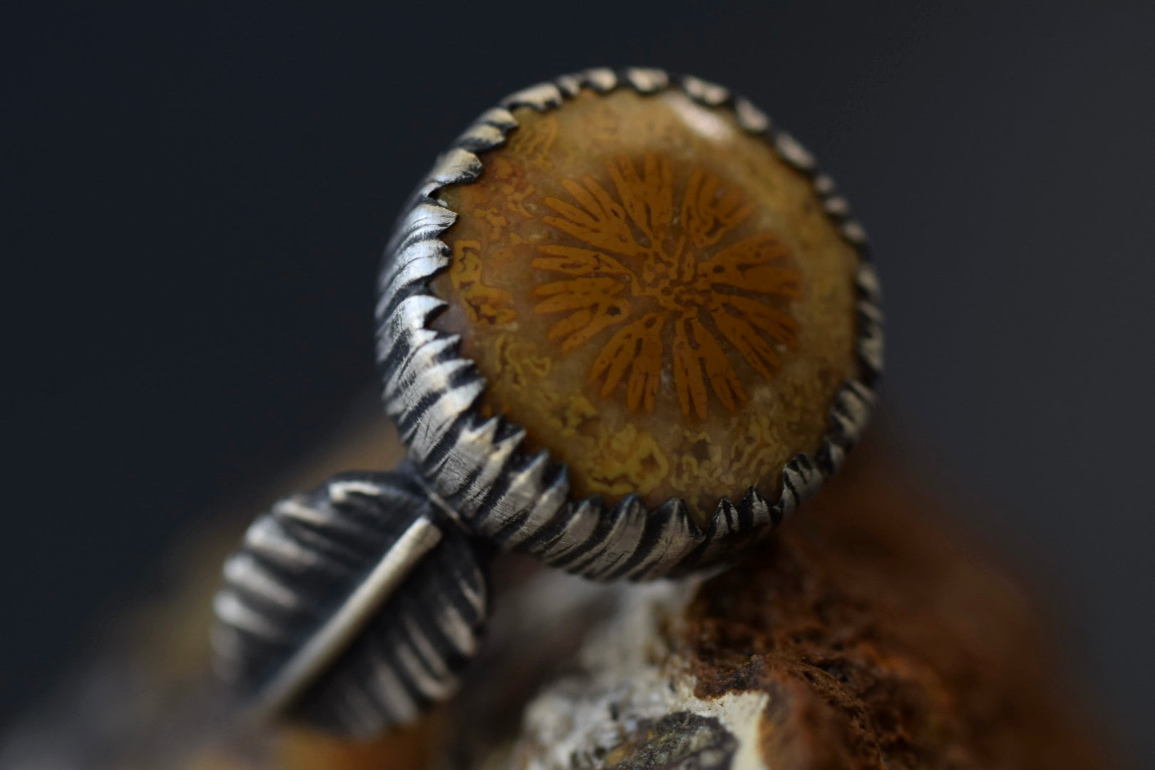 Fossilized Coral & Carved Leaves