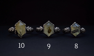 Rutile Prehnite Hex Fern Rings