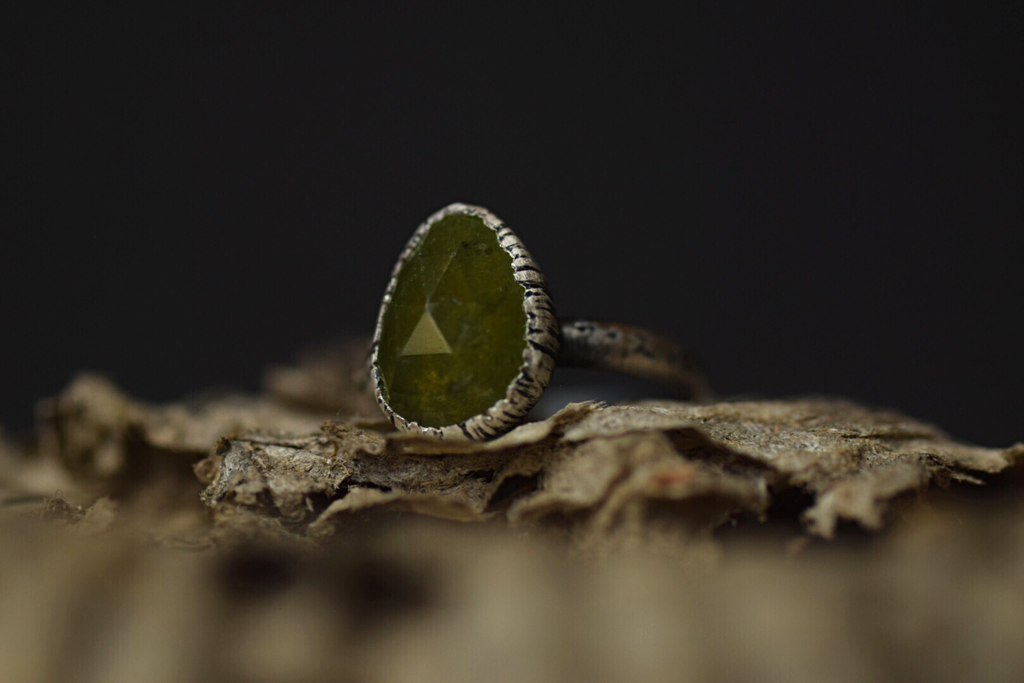 Vesuvianite Fern Ring - 4.5