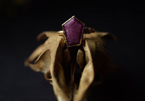 14k Gold Raw Ruby Coffin Ring - Size 6