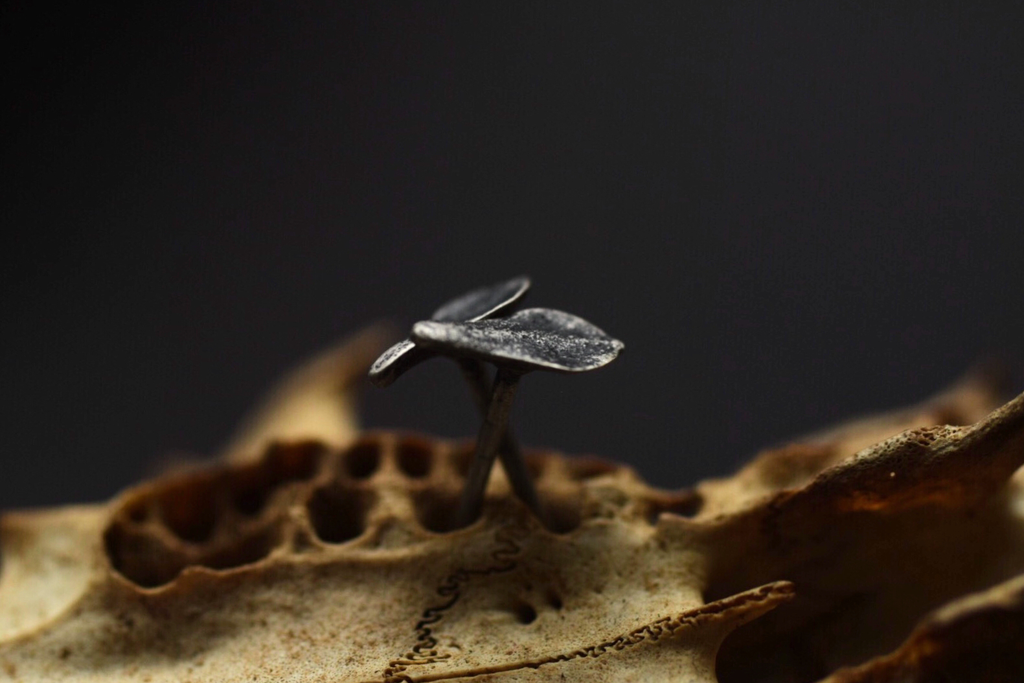 Succulent Leaf Studs