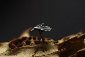 Succulent Leaf Studs