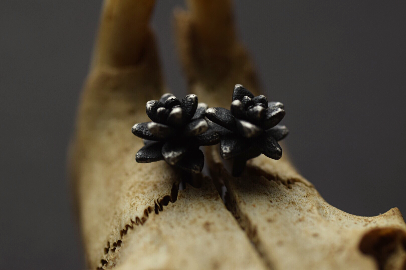 Succulent Studs