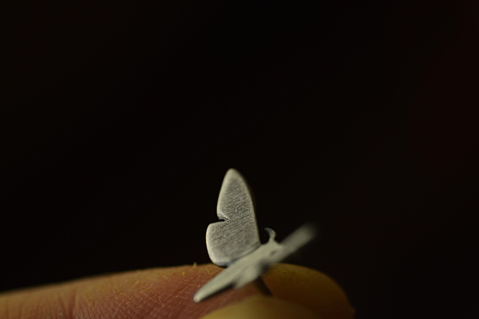 Moths in Flight- Preorder