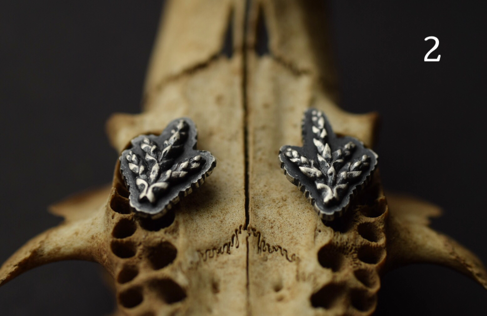 Fern Cutout Stud/Climbers