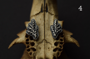 Fern Cutout Stud/Climbers