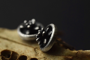 Succulent Shadowbox Studs