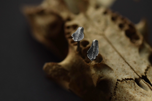 Succulent Leaf Studs