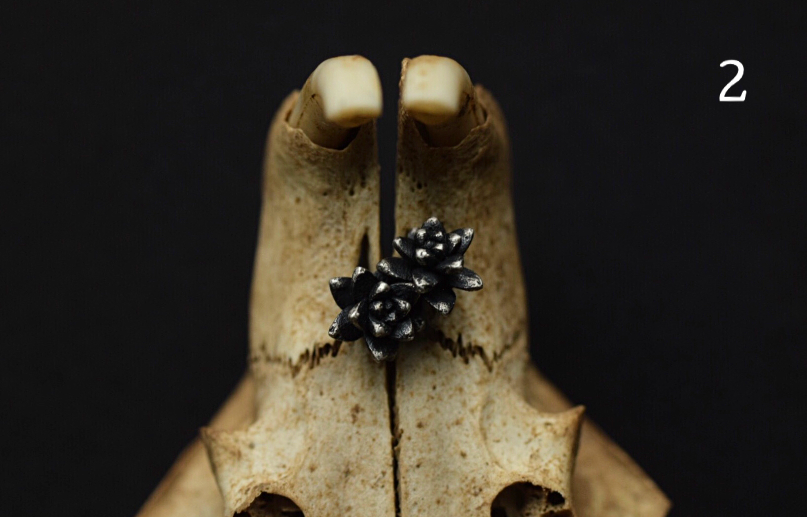 Succulent Studs