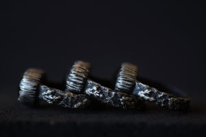 Gold Sheen Obsidian Fern Fossil Ring