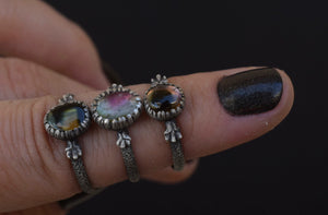 Bicolor Tourmaline & Fern Spines