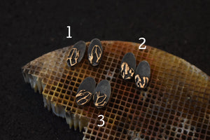 Bronze & Sterling Leaf Studs
