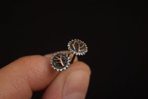 Fossilized Bronze & Sterling Vein Studs