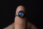 Tanzanite Fern Ring - Size 5